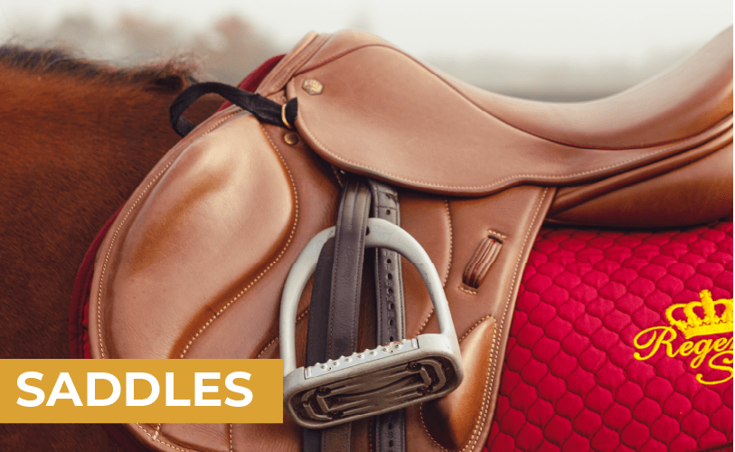 Saddlery Fitting – Castle House Saddlery