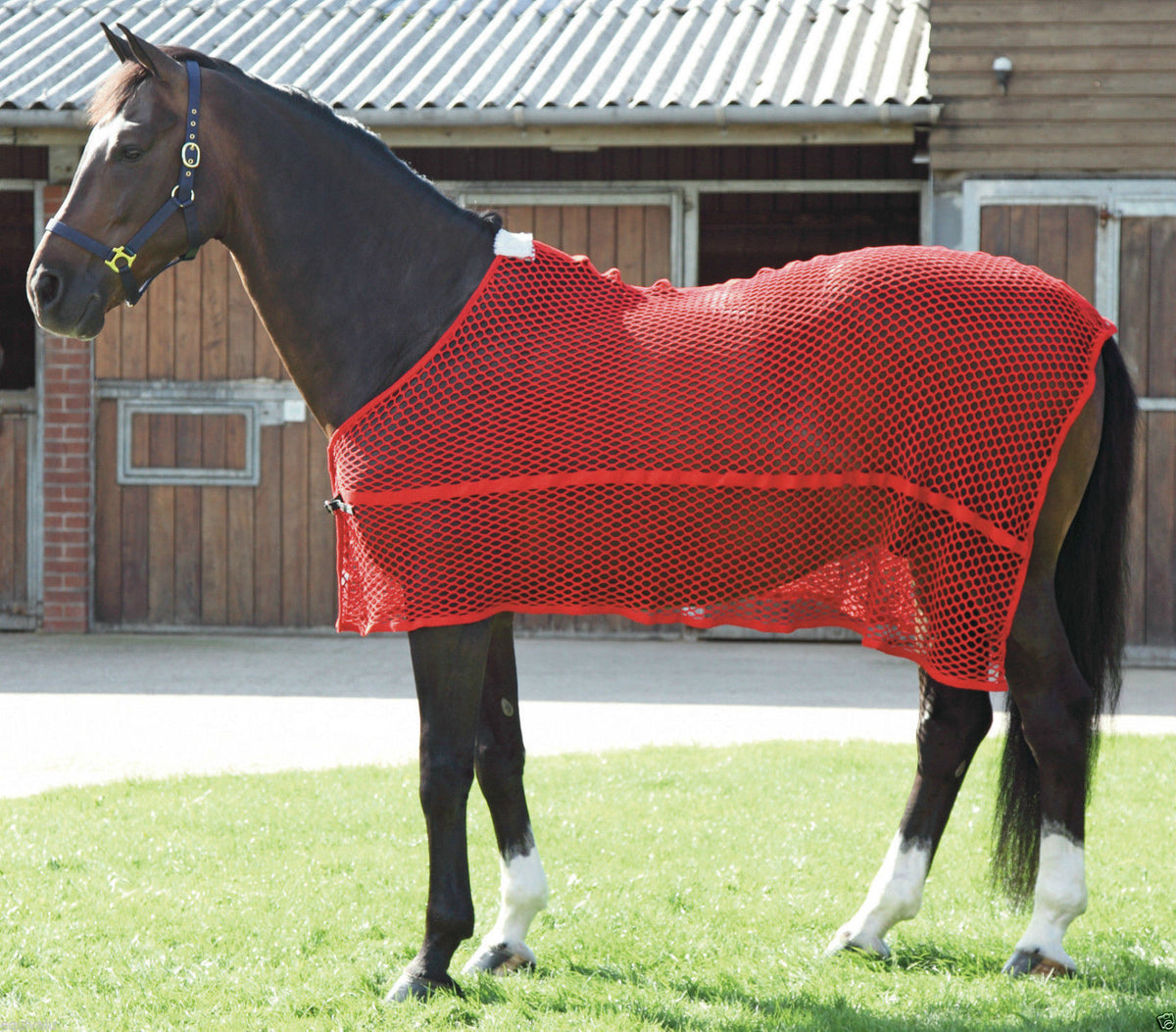 Anti Sweat Rug – Castle House Saddlery